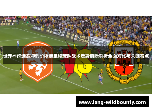 世界杯预选赛冲刺阶段谁更稳球队战术走势前瞻解析全面对比与关键看点